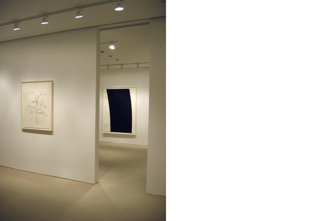 Left to right: Ellsworth Kelly, Sunflower I, 2004; Richard Serra, Trajectory #1, 2004