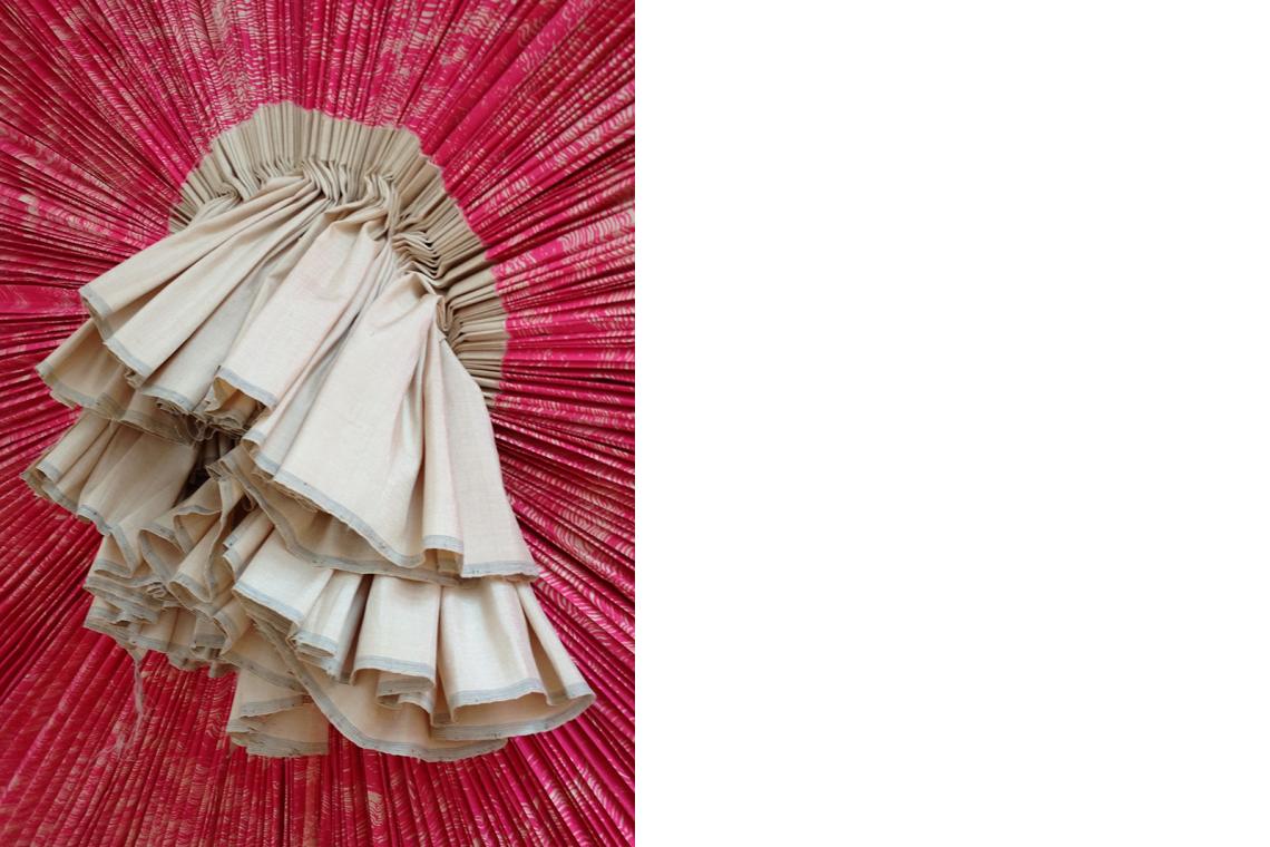 Ann Hamilton, ciliary, 2010 (detail)