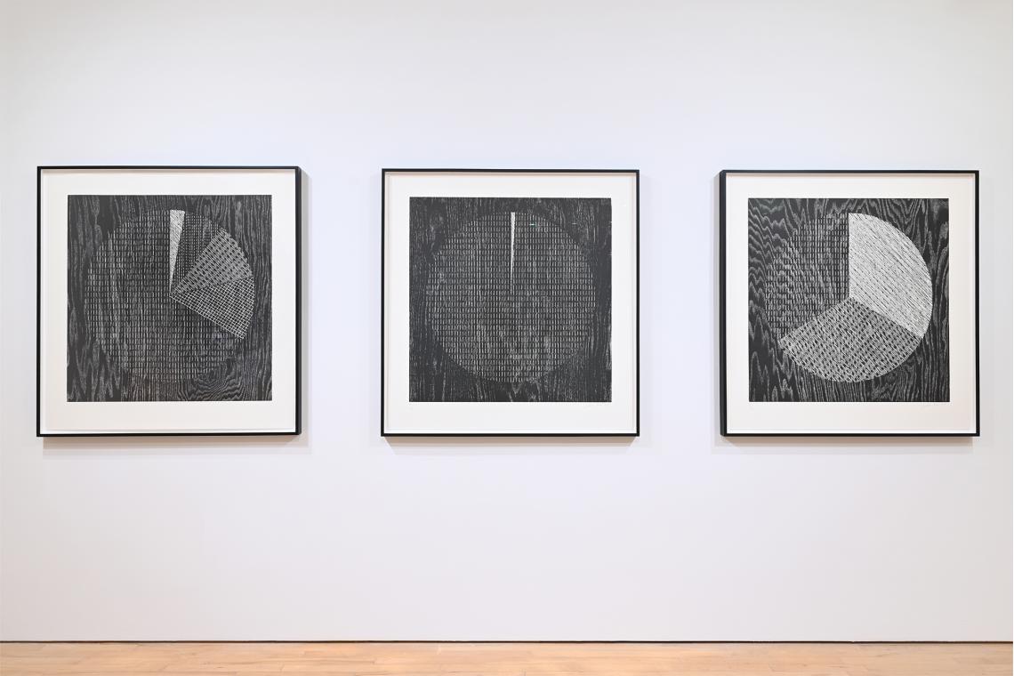 Analia Saban Data Center installation view (Pie Chart)
