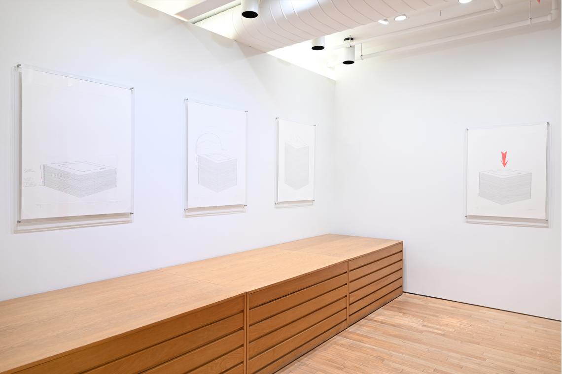 Analia Saban, This One 2020 Unique Trial Proofs installation view 2026
