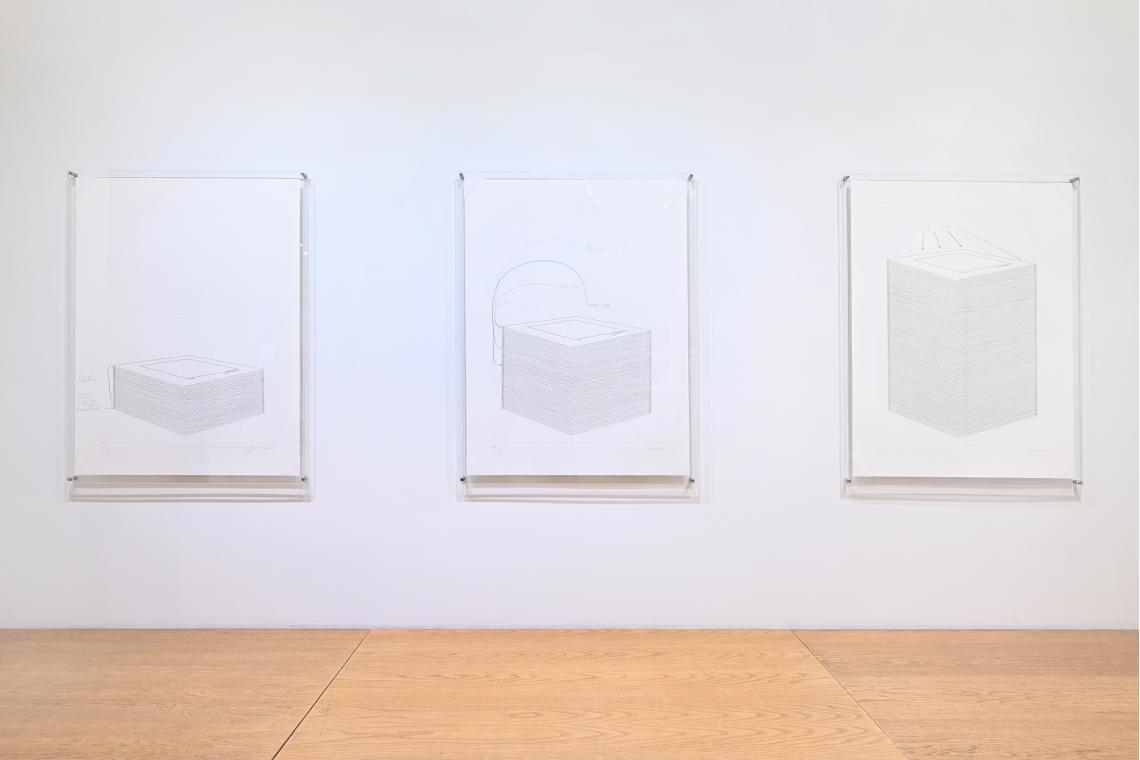 Analia Saban, This One 2020 Unique Trial Proofs installation view 2026