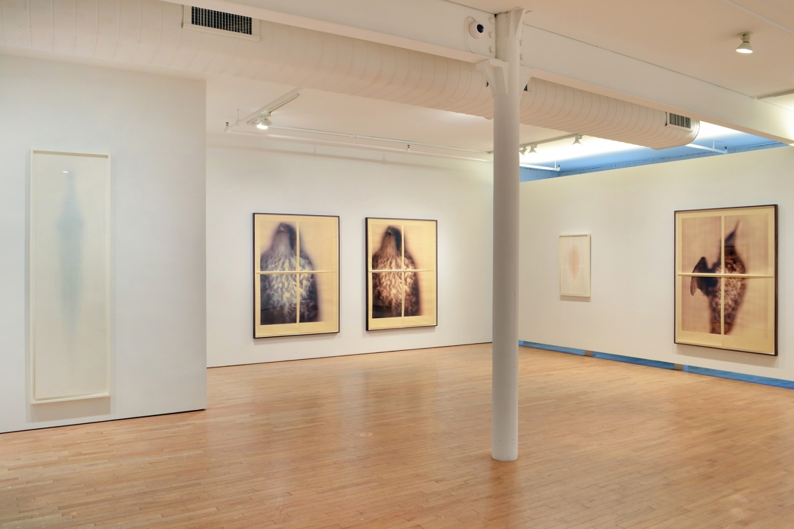 Ann Hamilton New Work | Gemini G.E.L. at Joni Moisant Weyl.