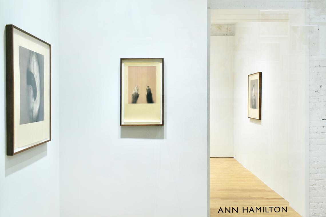 版画 Anne Goujaud HIBELL ART garres magiques Ann Hamilton | Gemini G.E.L. at Joni Moisant Weyl.
