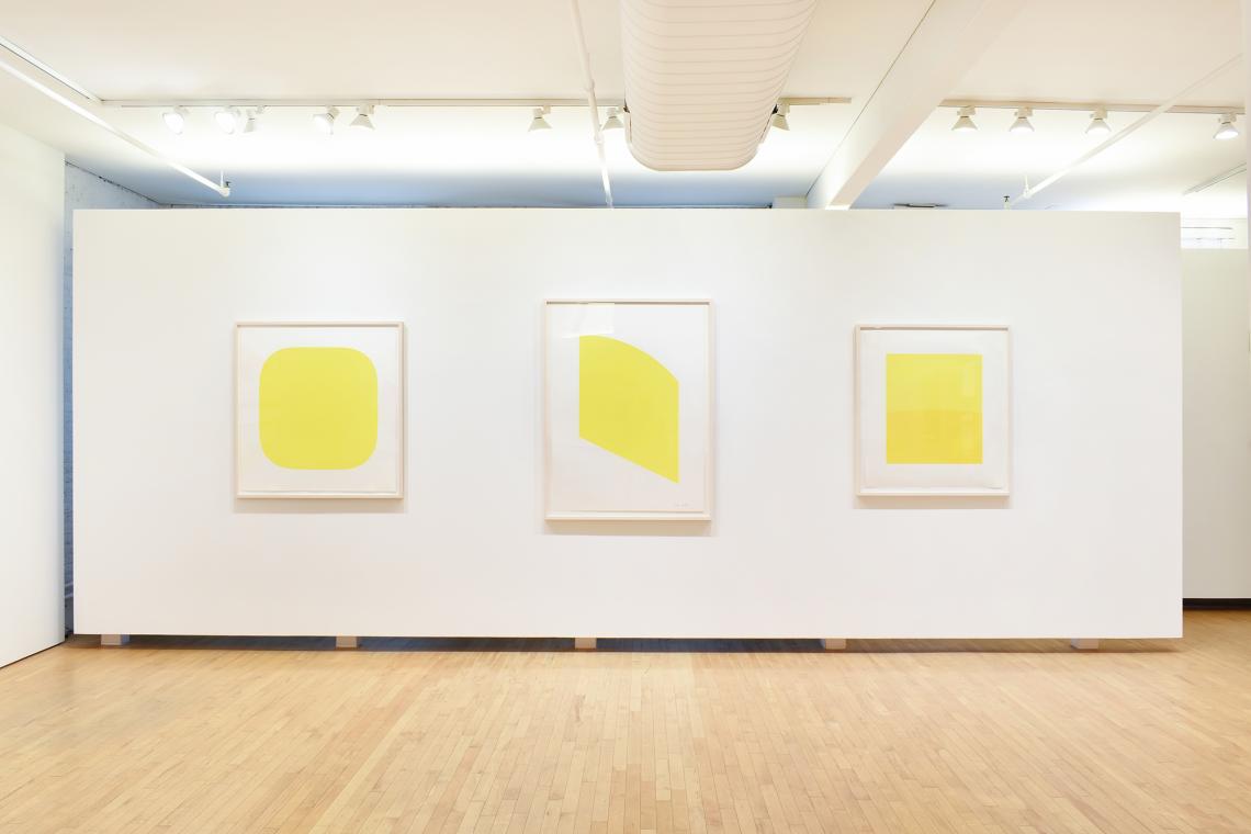Ellsworth Kelly at Gemini - An Exploration of Color (exhibition installation view)