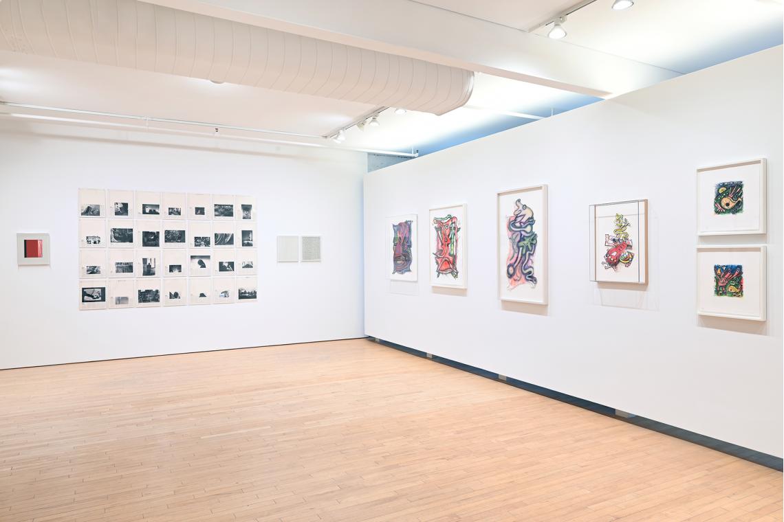 The Paula Cooper Effect installation view (Robert Gober, Sophie Calle, Elizabeth Murray)