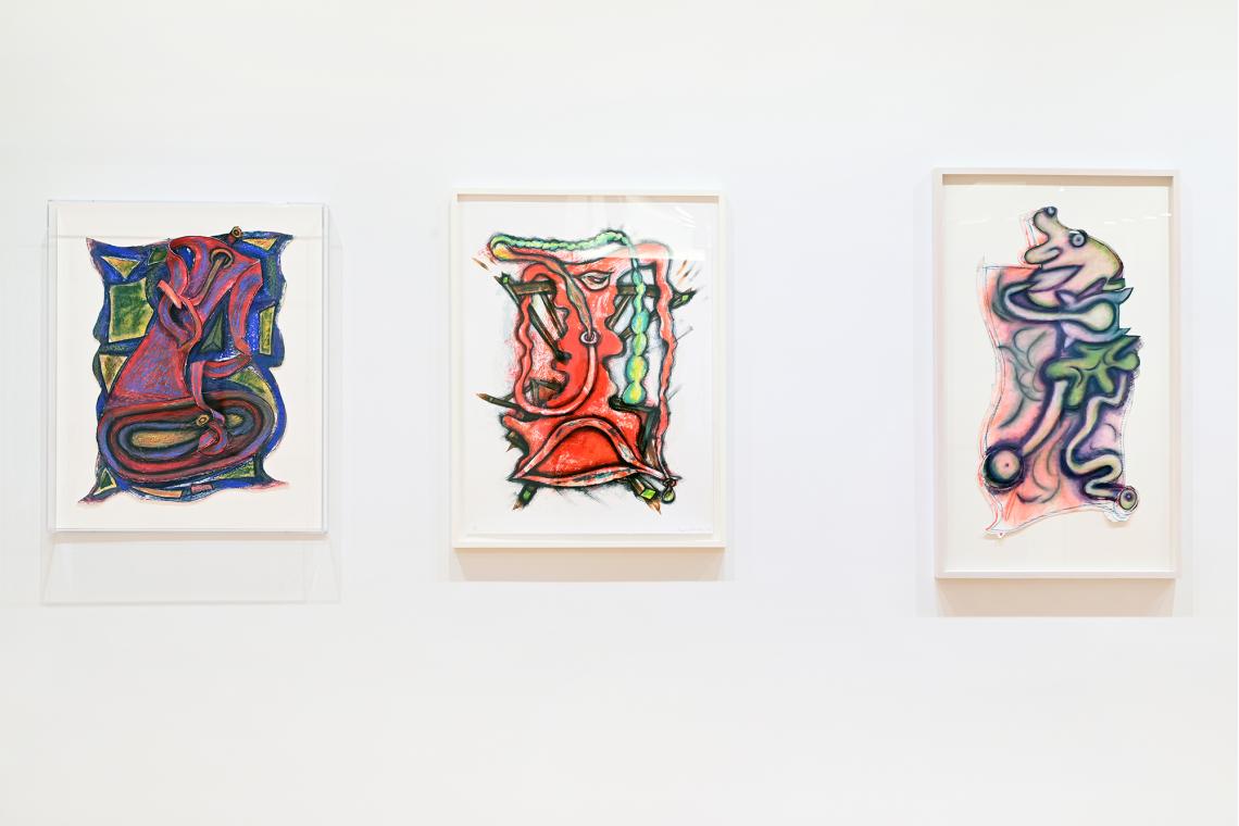 The Paula Cooper Effect installation view (Elizabeth Murray)