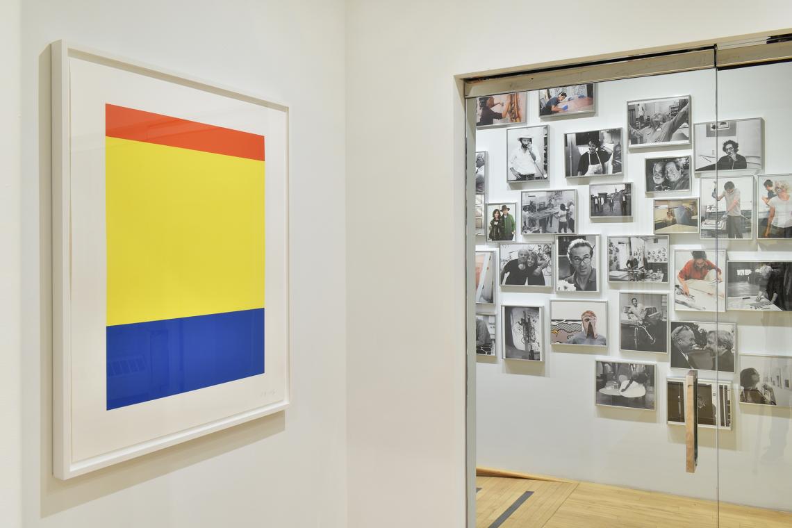 In the Project Space Ellsworth Kelly installation view