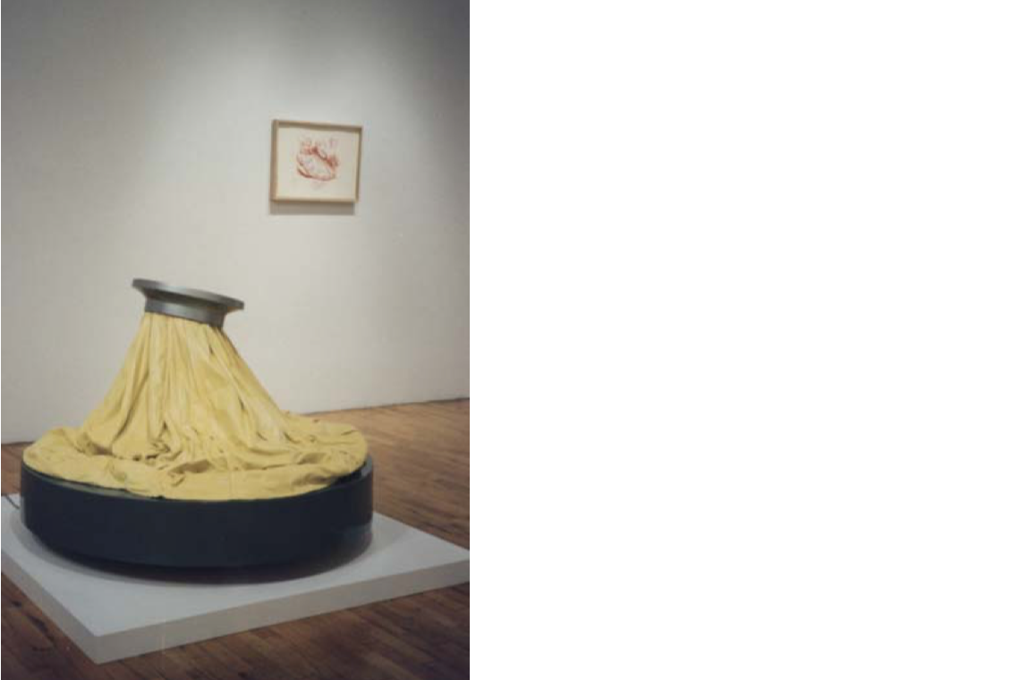 Left to right: Claes Oldenburg, Ice Bag—Scale B, 1971; Ice Bag, 1970