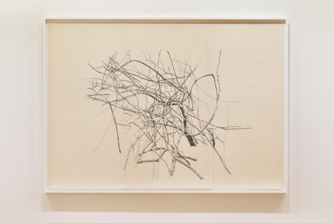 Toba Khedoori, Untitled (large branches), 2025