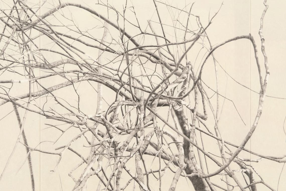 Toba Khedoori, Untitled (large branches), 2025 (detail)