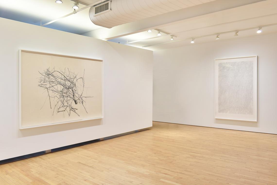 Toba Khedoori, Untitled (large branches), 2025, Untitled (grass) 2022
