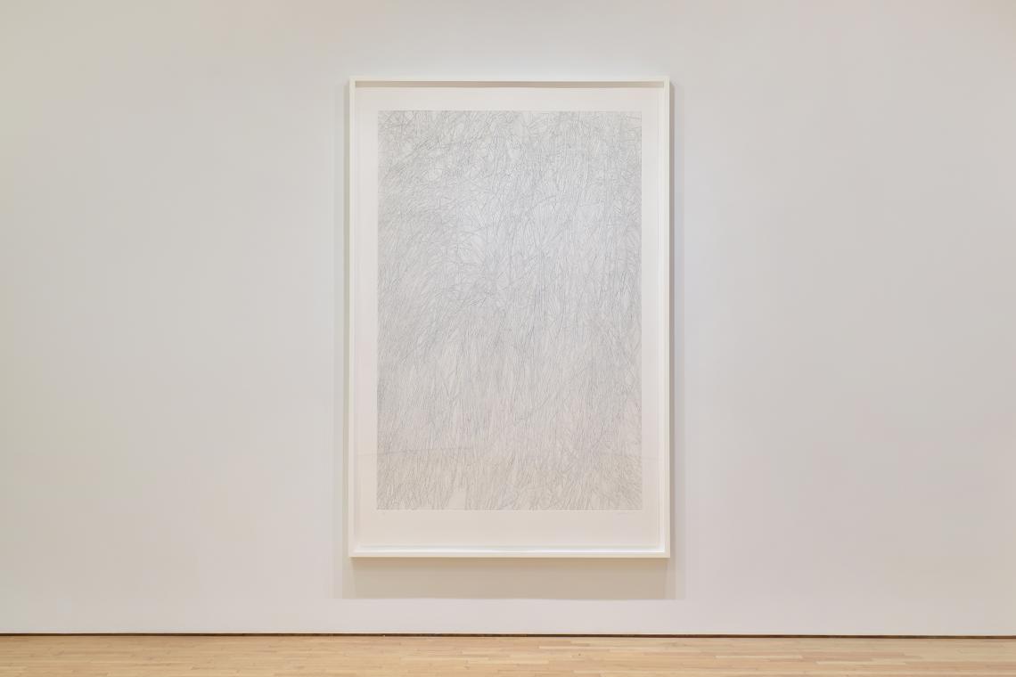 Toba Khedoori, Untitled (grass), 2022
