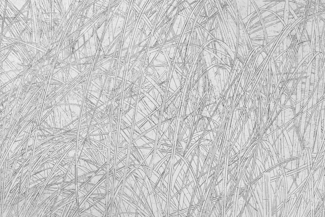 Toba Khedoori, Untitled (grass), 2022 (detail)