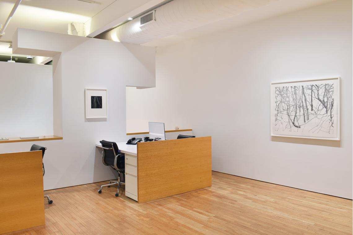 Toba Khedoori, Untitled 1, 2024, Untitled (branches), 2020