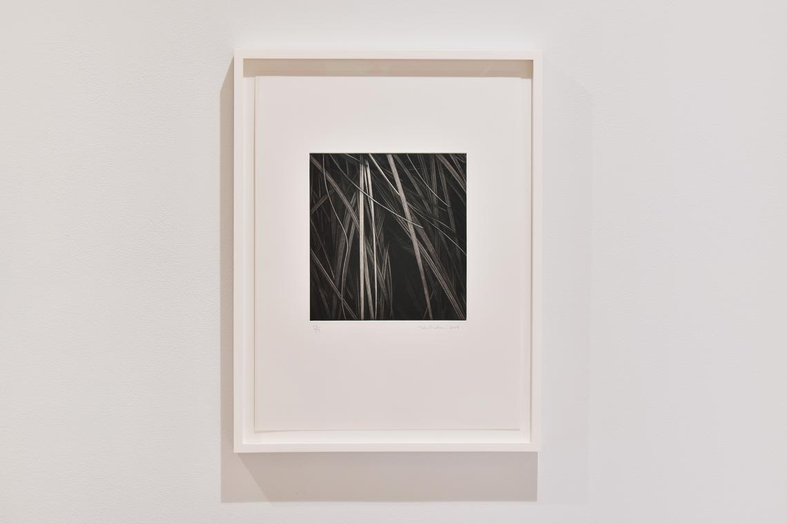 Toba Khedoori, Untitled 1, 2024