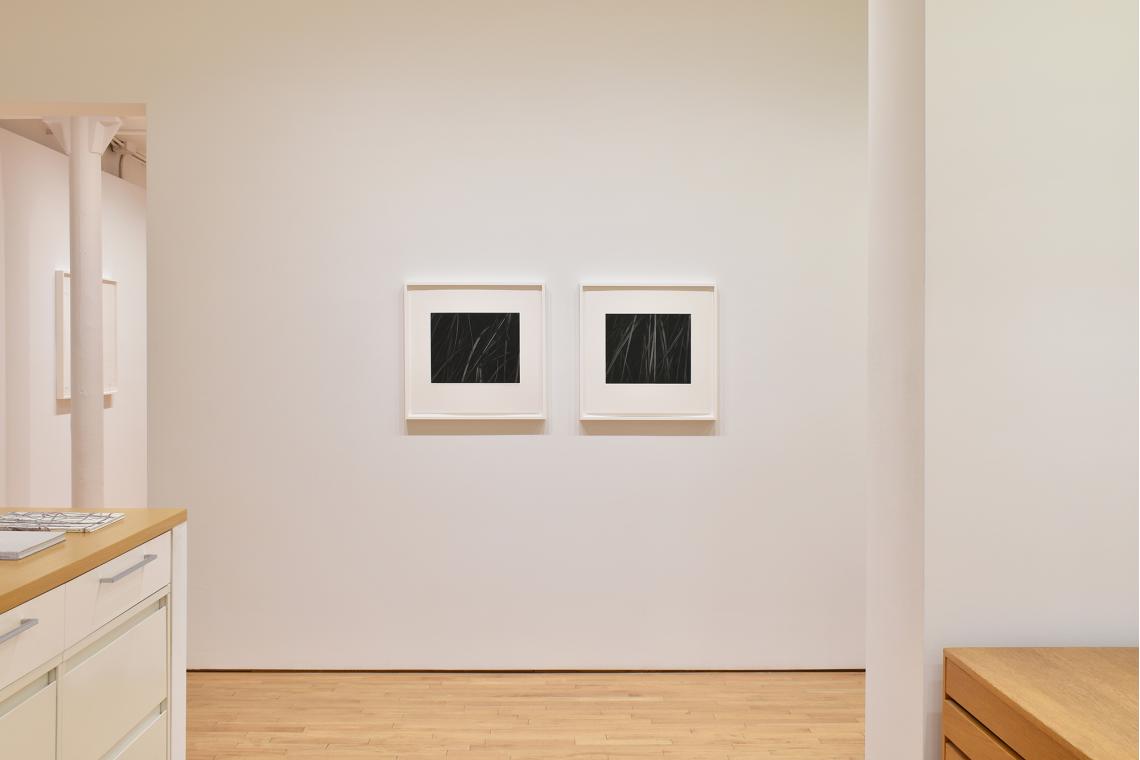 Toba Khedoori, Untitled 2, Untitled 3, 2025