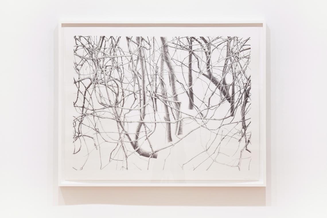 Toba Khedoori, Untitled (branches), 2020