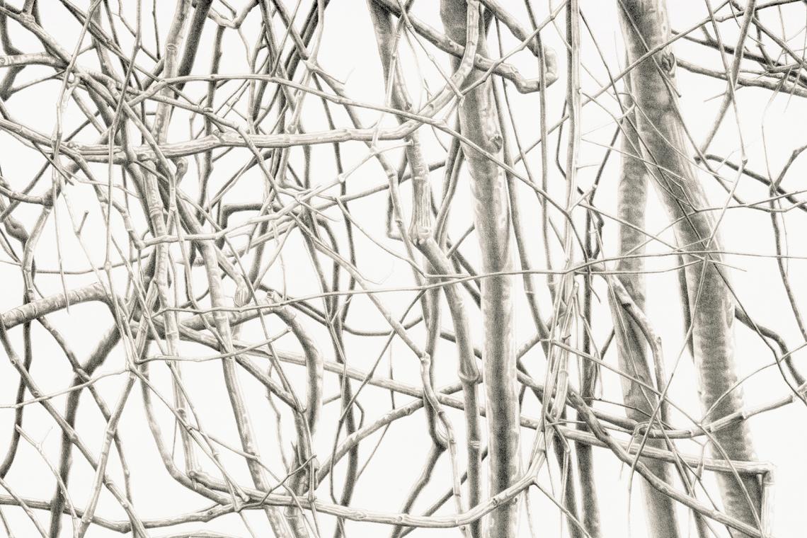 Toba Khedoori, Untitled (branches), 2020 (detail)