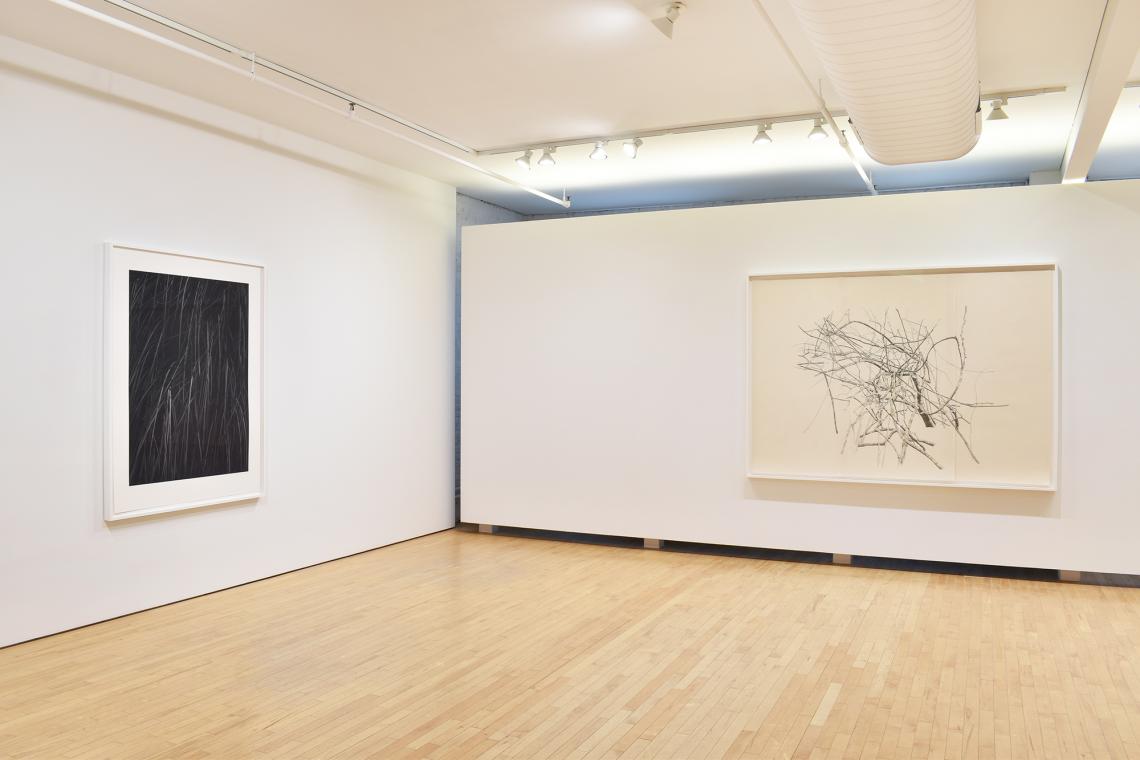 Toba Khedoori, Untitled, 2025, Untitled (large branches), 2025