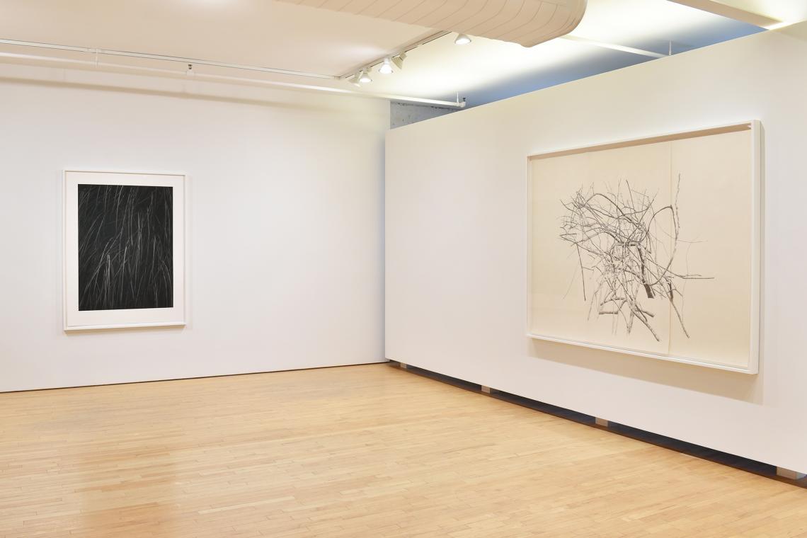 Toba Khedoori, Untitled, 2025, Untitled (large branches), 2025