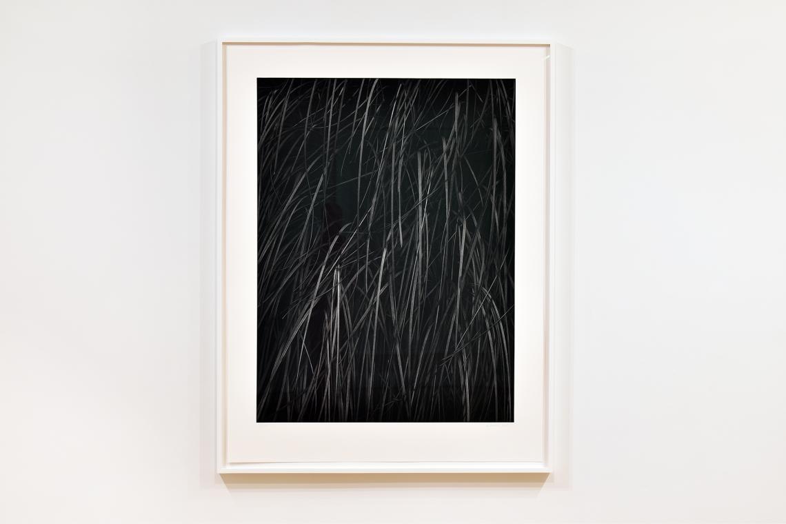 Toba Khedoori, Untitled, 2025
