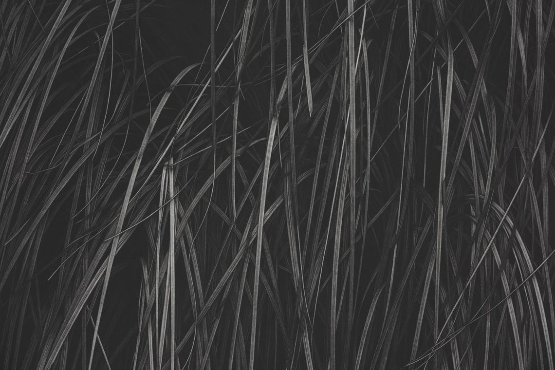 Toba Khedoori, Untitled, 2025 (detail)