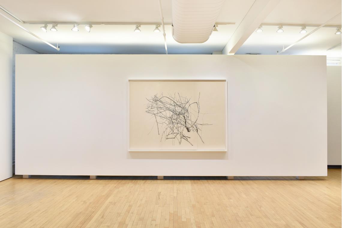 Toba Khedoori, Untitled (large branches), 2025
