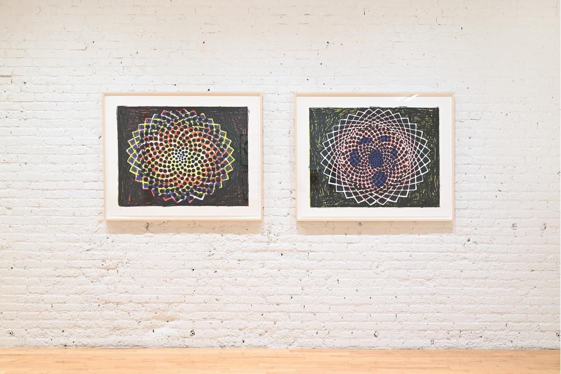 Winter Reflections installation view, Terry Winters Clocks and Clouds