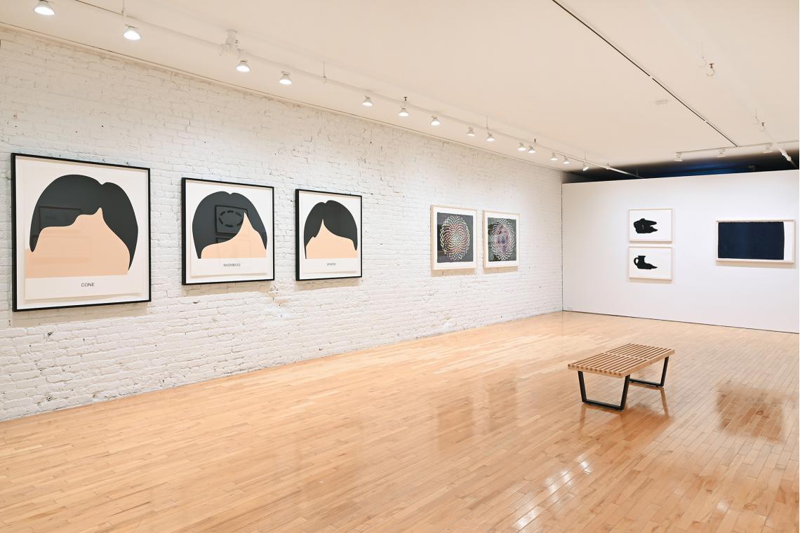 Winter Reflections installation view: John Baldessari, Terry Winters, Analia Saban