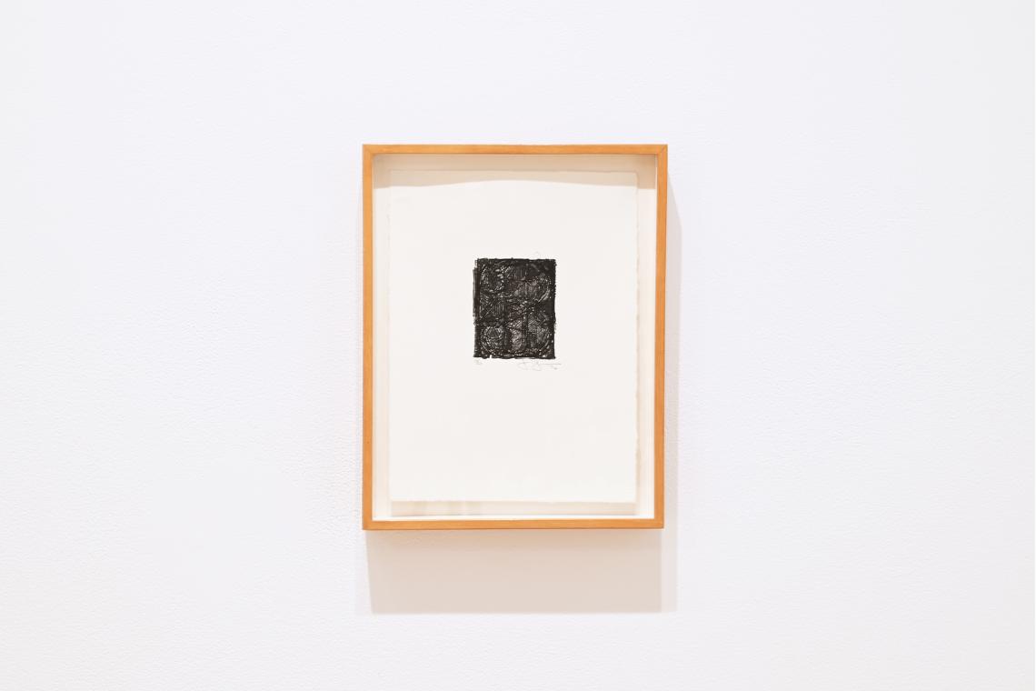 Winter Reflections installation view, Jasper Johns 0-9