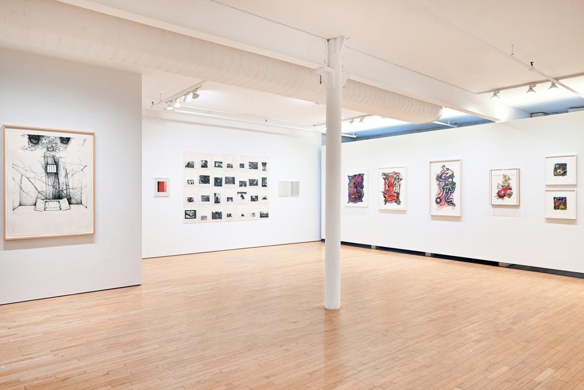 The Paula Cooper Effect installation view (Robert Gober, Sophie Calle, Elizabeth Murray)