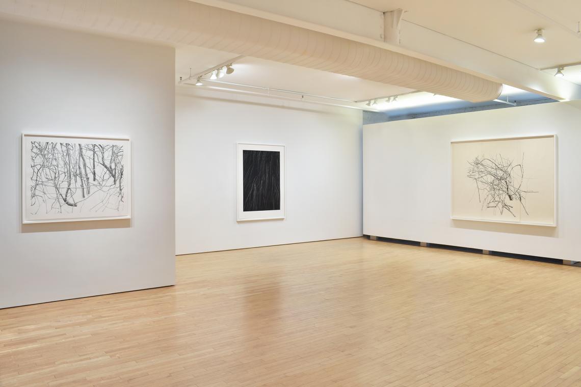 Toba Khedoori, Untitled (branches), 2020, Untitled, 2025, Untitled (large branches), 2025