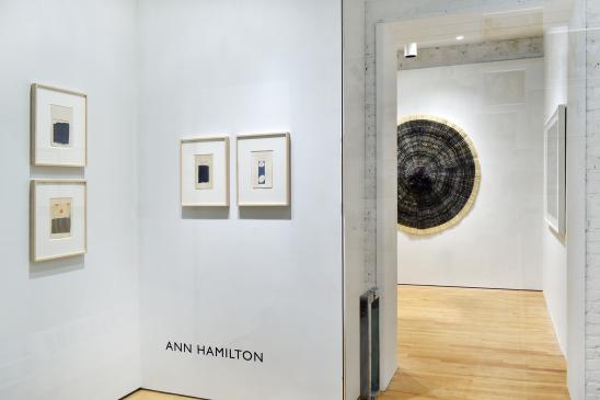 Ann Hamilton "Selected Works" installation view