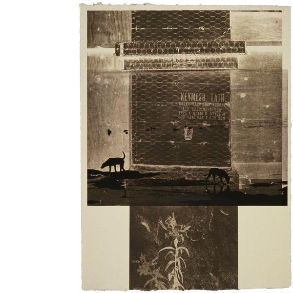 Robert Rauschenberg, Lily Scent, 1981 Robert Rauschenberg, Lily Scent, 1981