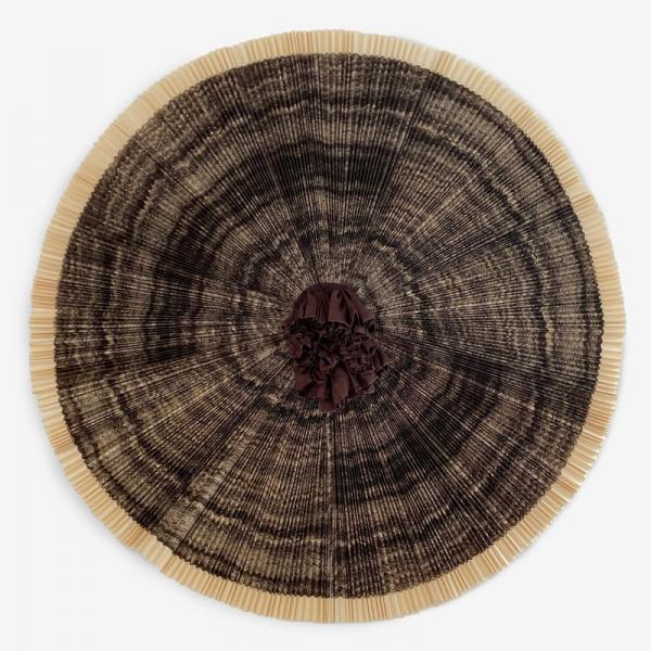 Ann Hamilton, ciliary, 2010