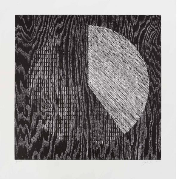 Analia Saban, Pie Chart (40%, 60%), 2026