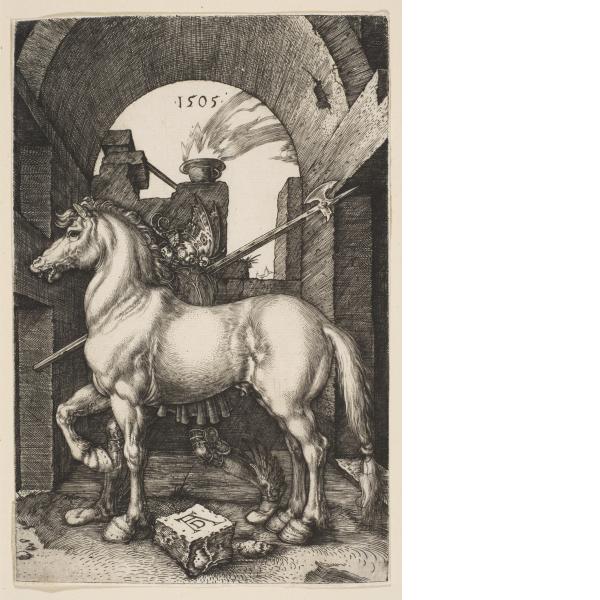 Durer, The Small Horse