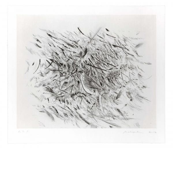 Julie Mehretu, Haka, 2012