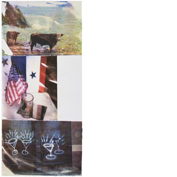 Robert Rauschenberg, Witness (Speculations), 1996