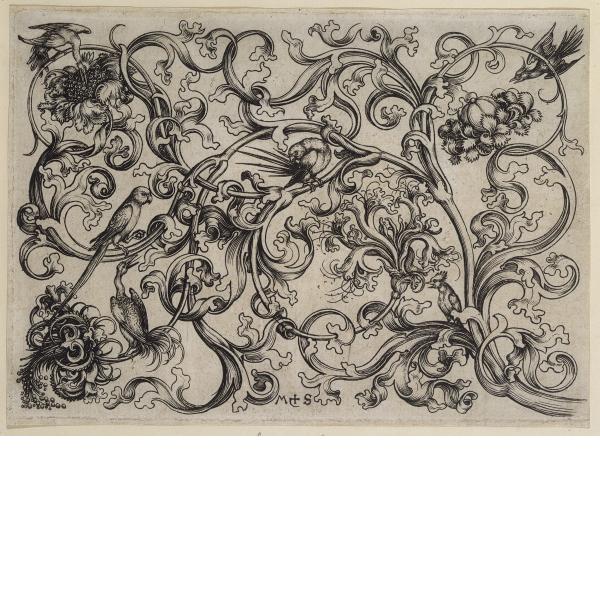 Martin Schongauer, Ornament with Parrots and Birds