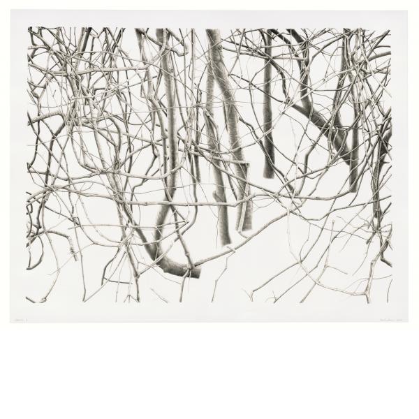 Toba Khedoori, Untitled (branches), 2020