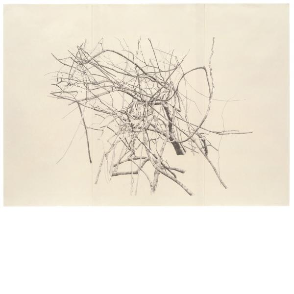 Toba Khedoori, Untitled (large branches), 2025