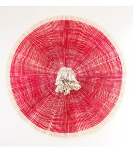 Ann Hamilton, ciliary, 2010