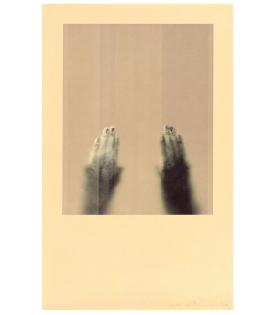 版画 Anne Goujaud HIBELL ART garres magiques Ann Hamilton | Gemini G.E.L. at Joni Moisant Weyl.
