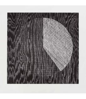 Analia Saban, Pie Chart (40%, 60%), 2026