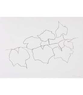 Ellsworth Kelly, Wild Grape Leaves II, 2004