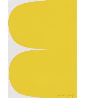 Ellsworth Kelly, Yellow Curves, 2013