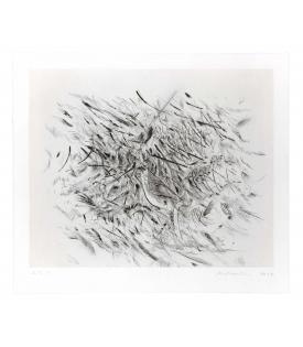 Julie Mehretu, Haka, 2012 Julie Mehretu, Haka, 2012