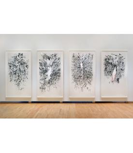 Myriads, Only By Dark, 2014, Installation View