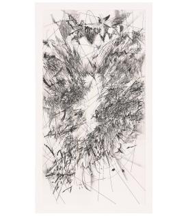 2. (mathematics of droves) Panel B